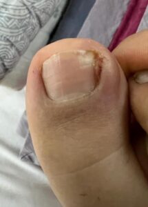 WhatsApp Image 2023-08-31 at 7.12.25 PM