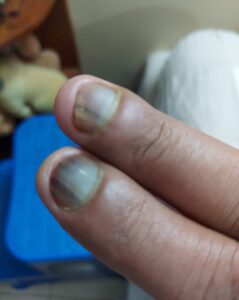 WhatsApp Image 2023-09-12 at 6.44.19 PM