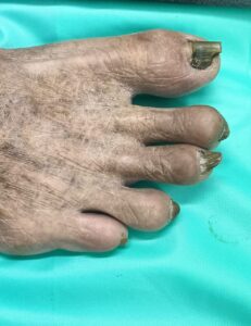 WhatsApp Image 2023-09-12 at 6.45.37 PM